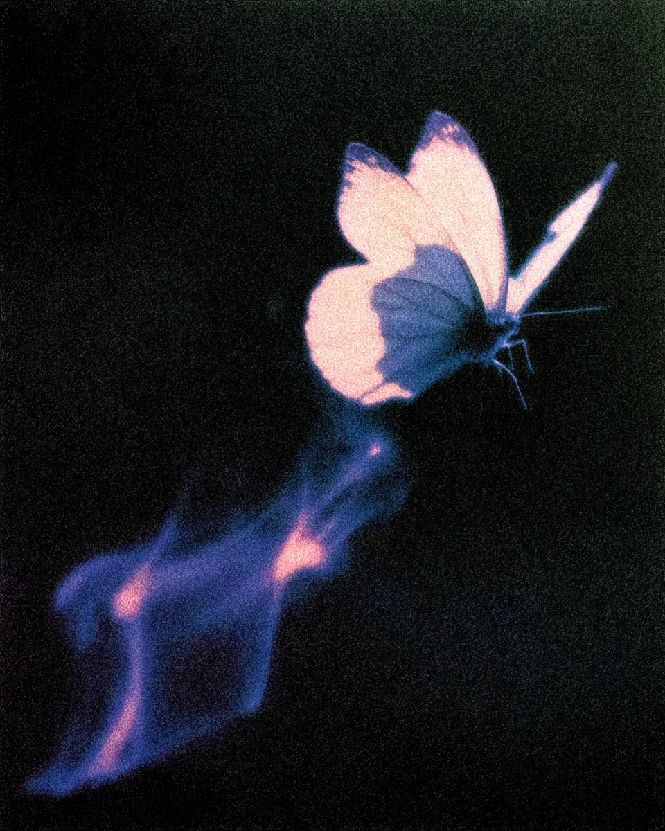 Butterflight