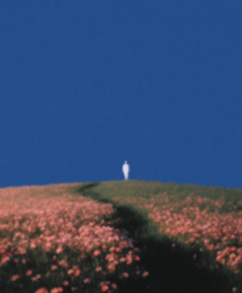 Bloom