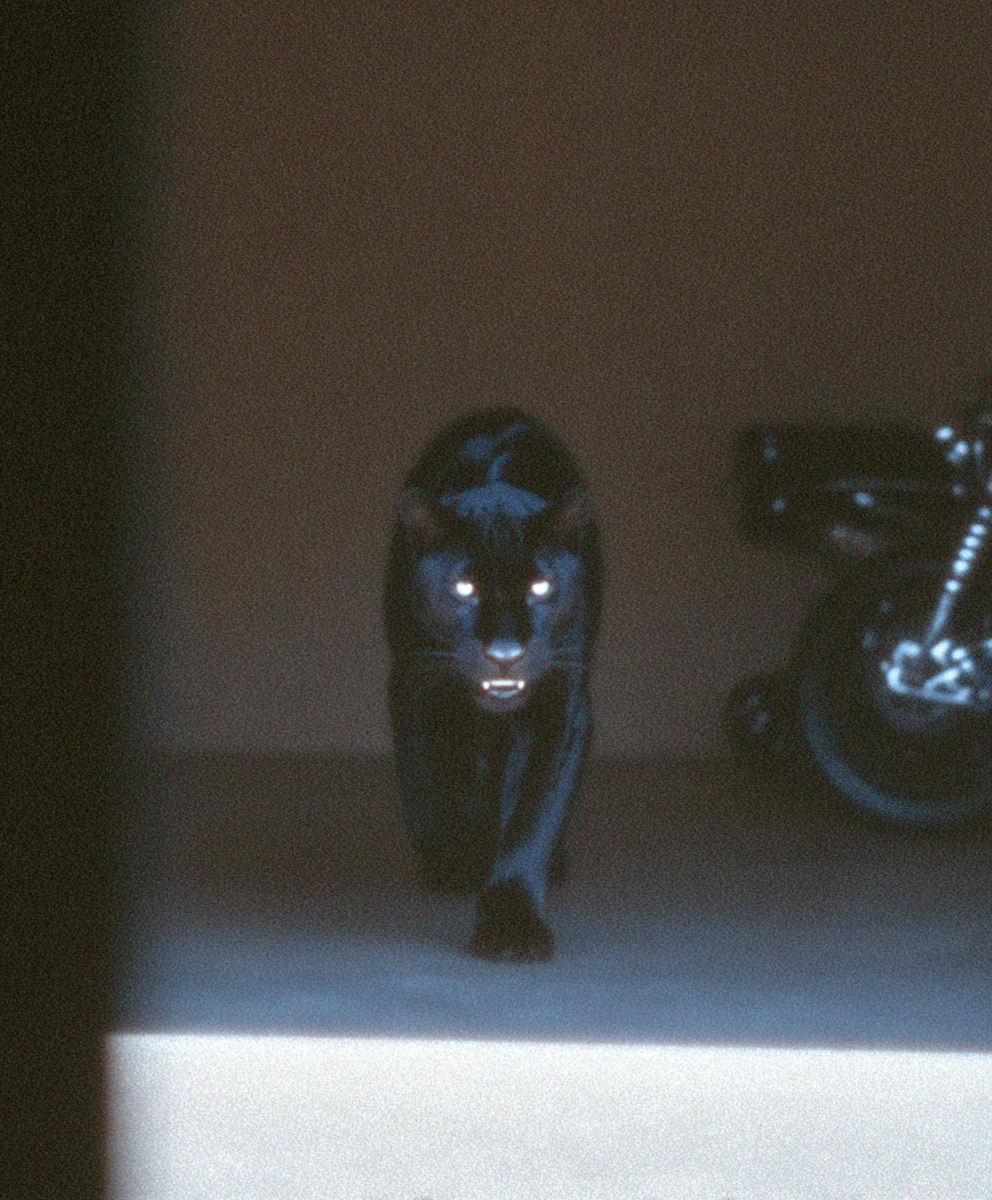 Prey