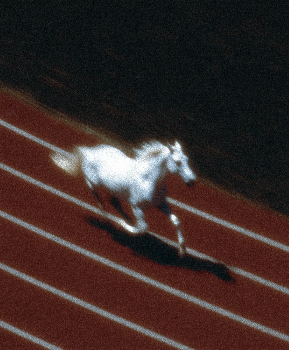 Track and Field